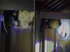 viral video