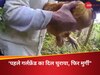 3 घंटे पहले रिहा होकर आया, ex गर्लफ्रेंड की चुरा ली पालतू मुर्गी, ब्वॉयफ्रेंड को हो सकती है 10 साल की जेल