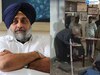 Sukhbir Badal: ਸੁਖਬੀਰ ਬਾਦਲ ਨੇ ਮਨੋਰੰਜਨ ਕਾਲੀਆ ਦੇ ਘਰ ਉਤੇ ਹਮਲੇ ਨੂੰ ਲੈ ਕੇ ਕੀਤੇ ਸਵਾਲ ਖੜ੍ਹੇ