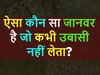 GK Quiz: ऐसा कौन सा जानवर है जो कभी उबासी नहीं लेता?