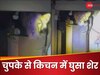 शॉकिंग वीडियो! किचन से आधी रात आई टूटने-फूटने की आवाजें, घरवाले अंदर घुसे तो दिखा 'जंगल का राजा'