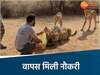 चीतों को पानी पिलाने वाले को वापस मिली नौकरी 