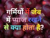 गर्मियों में जेब में प्याज रखने से नहीं लगती लू! क्या सच में कारगर है ये पुराना टोटका या सच्चाई कुछ और?
