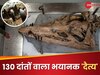 130 दांतों वाला भयानक 'दैत्य', जबड़ा खोलते ही मौत कंफर्म! क्या वैज्ञानिक कर रहे इसे जिंदा?