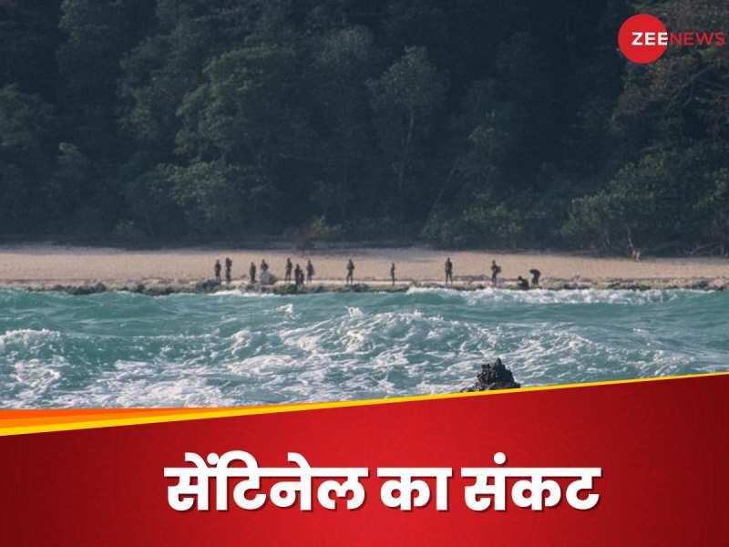 आदिवासी से संपर्क करने को दिया कोक-नारियल, अमेरिकी यूट्यूबर हुआ अरेस्‍ट