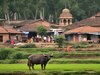  Mirzapur Bhainsa Gaon