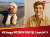 Ghibli हुआ पुराना... अब Dogs को इंसान बना रहा ChatGPT! नए ट्रेंड ने मचा डाला तहलका