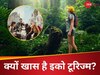 Eco Tourism: नेचर लवर्स के लिए शानदार करियर ऑप्शन; जानिए क्या है इको टूरिज्म और इसमें ग्रोथ की संभावनाएं