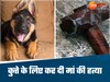 बेटे को मां-पत्नी से प्यारा था कुत्ता, जर्मन शेफर्ड के लिए मां को उतारा मौत के घाट, पत्नी को किया घायल