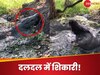 Viral Video