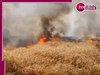 Panipat News: एक चिंगारी ने जला दिए पसीने से सींचे सपने, आग से खाक हुए खेत