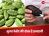 डायबिटीज की आफत में कैसे राहत दिला सकती है छोटी इलाइची? इस तरह खाएंगे तो होंगे फायदे