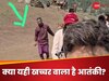 Pahalgam Terror Attack: तो क्या खच्चर वाला ही आतंकी था? महिला के दावे से पहलगाम आतंकी हमले में आया नया मोड़!