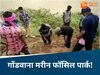 कहां है गोंडवाना मरीन फॉसिल पार्क? जहां मिले हैं 29 करोड़ वर्ष पुराने जीवाश्म