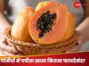 Eat Papaya in Summer: क्या गर्मियों में पपीता खाना सही रहता है? जान लें सही फैक्ट, वरना गंवा देंगे बनी बनाई सेहत 
