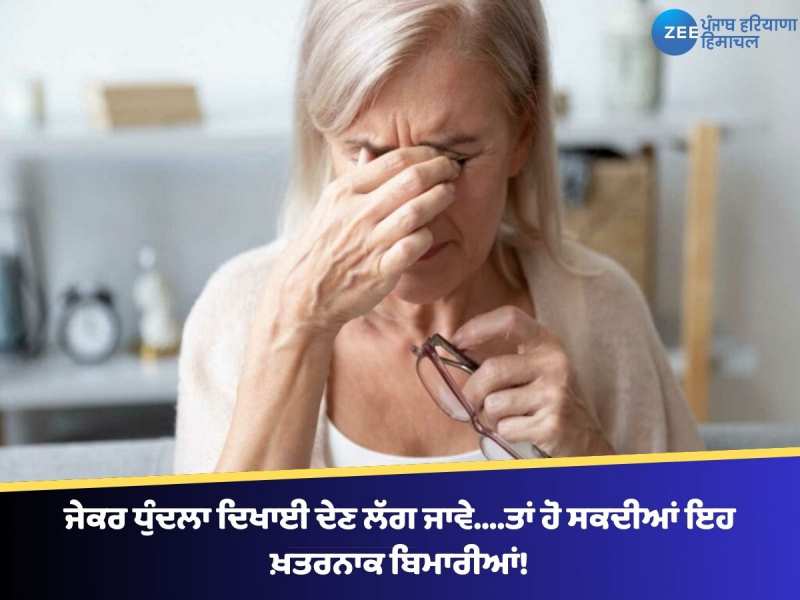ਜੇਕਰ ਧੁੰਦਲਾ ਦਿਖਾਈ ਦੇਣ ਲੱਗ ਜਾਵੇ....ਤਾਂ ਹੋ ਸਕਦੀਆਂ ਇਹ ਖ਼ਤਰਨਾਕ ਬਿਮਾਰੀਆਂ!