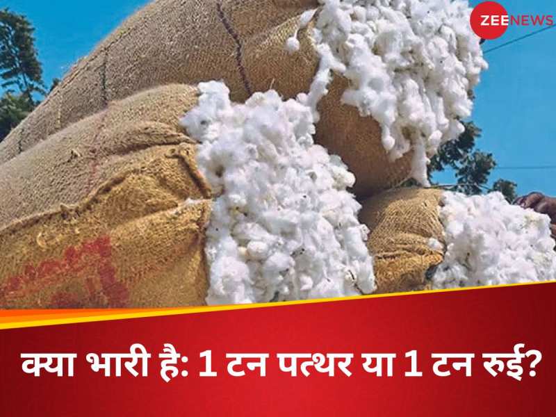 GK Quiz: दोनों में से कौन सा भारी है: एक टन का पत्थर या एक टन की रुई?