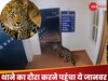 Video: अचानक थाने में घुस आया खूंखार जानवर, हलक में अटक गई पुलिसवालों की जान और फिर...