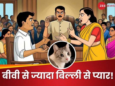 पति बीवी से ज्यादा बिल्ली से करता है प्यार, कोर्ट पहुंची पत्नी तो जज साहब बोले- ये केस दहेज...