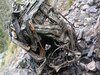 3 Army soldiers killed