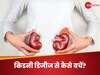 लाइन लगाकर खड़े हैं किडनी के ये साइलेंट किलर्स, ऐसे बचाएं अपनी जान