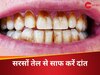 दांतों पर जमी मैल की परत, इस घरेलू जुगाड़ से करें साफ; मोती की तरह चमकने लगेंगे दांत