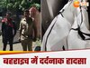 Two brothers died