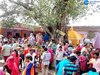 Una News: 5 से 7 जून तक आयोजित होगा जिला स्तरीय पिपलू मेला