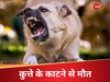 Kerala News: कुत्‍ते ने काटा, रेबीज का इंजेक्‍शन भी नहीं बचा पाया; इस तरह की तीसरी मौत