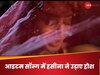 कोरियोग्राफर धनश्री वर्मा 