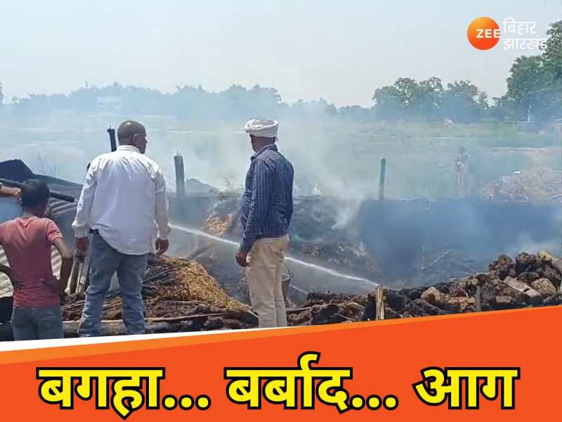 Bagaha Fire: बगहा में आग से 2 घर तबाह, कई बेजुबान जले जिंदा 