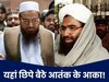 मसूद और हाफिज बने पाक सेना के 'मेहमान', फिर भद पिटवाने की तैयारी कर रहे मुनीर!