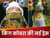 King Cobra को क्यों पहनाई टोपी? लड़के पर अटैक करने का Video आया सामने लेकिन