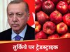 पाकिस्तान के बाद अब तुर्किये को सबक सिखा रहा भारत, बॉयकॉट का लगा नारा, सेब का व्यापार भी किया ठप