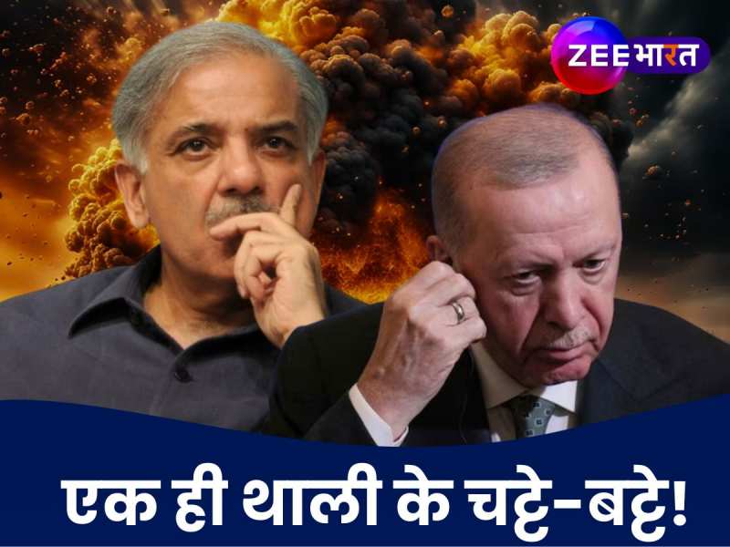 चोर-चोर मौसेरे भाई! तुर्की का हाल भी डिट्टो पाकिस्तान जैसा, एक्सपर्ट ने खोल दी कलई