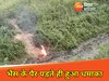 मधुबनी में बम ब्लास्ट से भैंस घायल