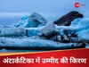 अंटार्कटिका से दूर हो रहा खतरे का साया, NASA ने जगाई उम्मीद, टलेगी ये बड़ी मुसीबत! 
