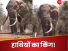 Viral Video