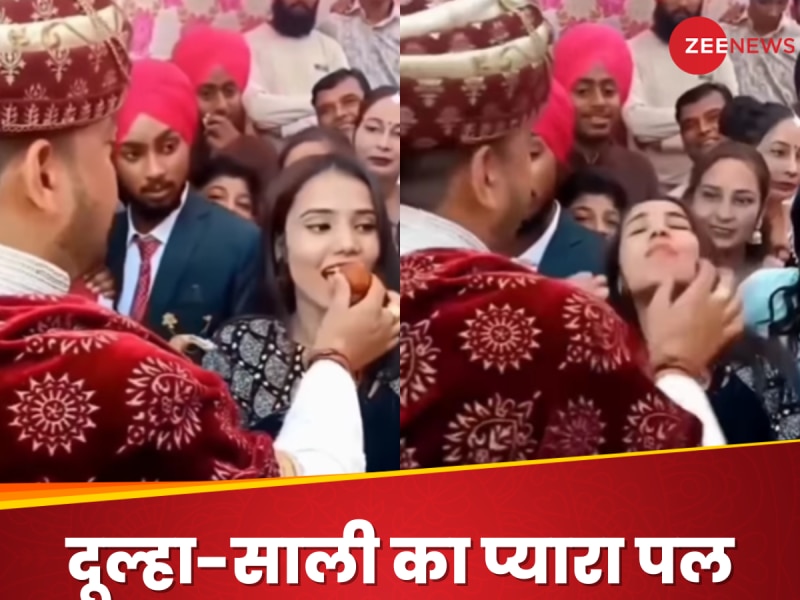 दूल्हा खिला रहा था साली को मिठाई, दोस्त ने कर दी ऐसी हरकत, वीडियो देख शर्म से पानी..