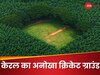 हरे-भरे जंगल के बीचोंबीच है ये खूबसूरत क्रिकेट ग्राउंड, Video देखकर नहीं हो रहा किसी को यकीन