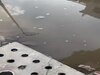 Greater Noida: ग्रेटर नोएडा में सेक्टर बीटा वन के बुरे हालात, जलभराव से परेशान लोग