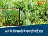 जबलपुर के किसानों ने पकड़ी नई राह