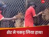 Viral Video