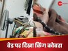 Watch: बेडरूम में दिखा मौत का साया; बेड पर फन फैलाकर आया किंग कोबरा, शख्स का रिएक्शन देख हक्के-बक्के हो गए लोग 