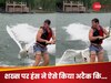 WATCH: स्टंट दिखाने चला था शख्स, हंस ने कर दिया फेल! सर्फिंग का वायरल वीडियो देखकर दंग रह जाएंगे आप