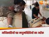 bees attacked officials