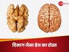 बिल्कुल ब्रेन जैसा दिखता है ये फूड, जो आपके दिमाग को बना सकता है सुपर जीनियस