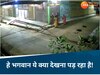 bilaspur unique robbery style