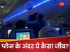 Video: फ्लाइट में घुस आया ये जीव, पायलट बोला- मैं नहीं पकड़ सकता; फिर यात्रियों की निकली चीख-पुकार और