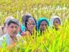 बांग्लादेशी के नाम पर 'नो मैंस लैंड' के धकेले आसामीज 